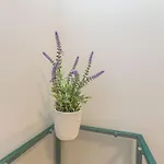 Saluto Al Sole Apartman *