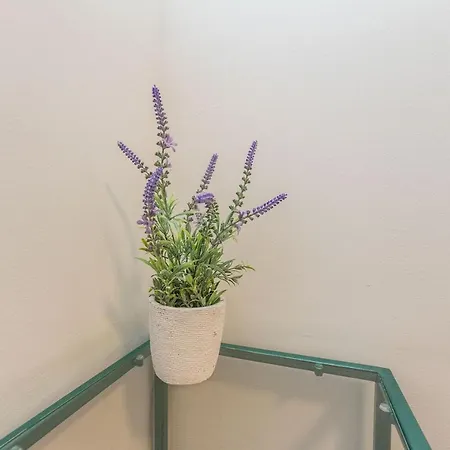 Saluto Al Sole Appartement *